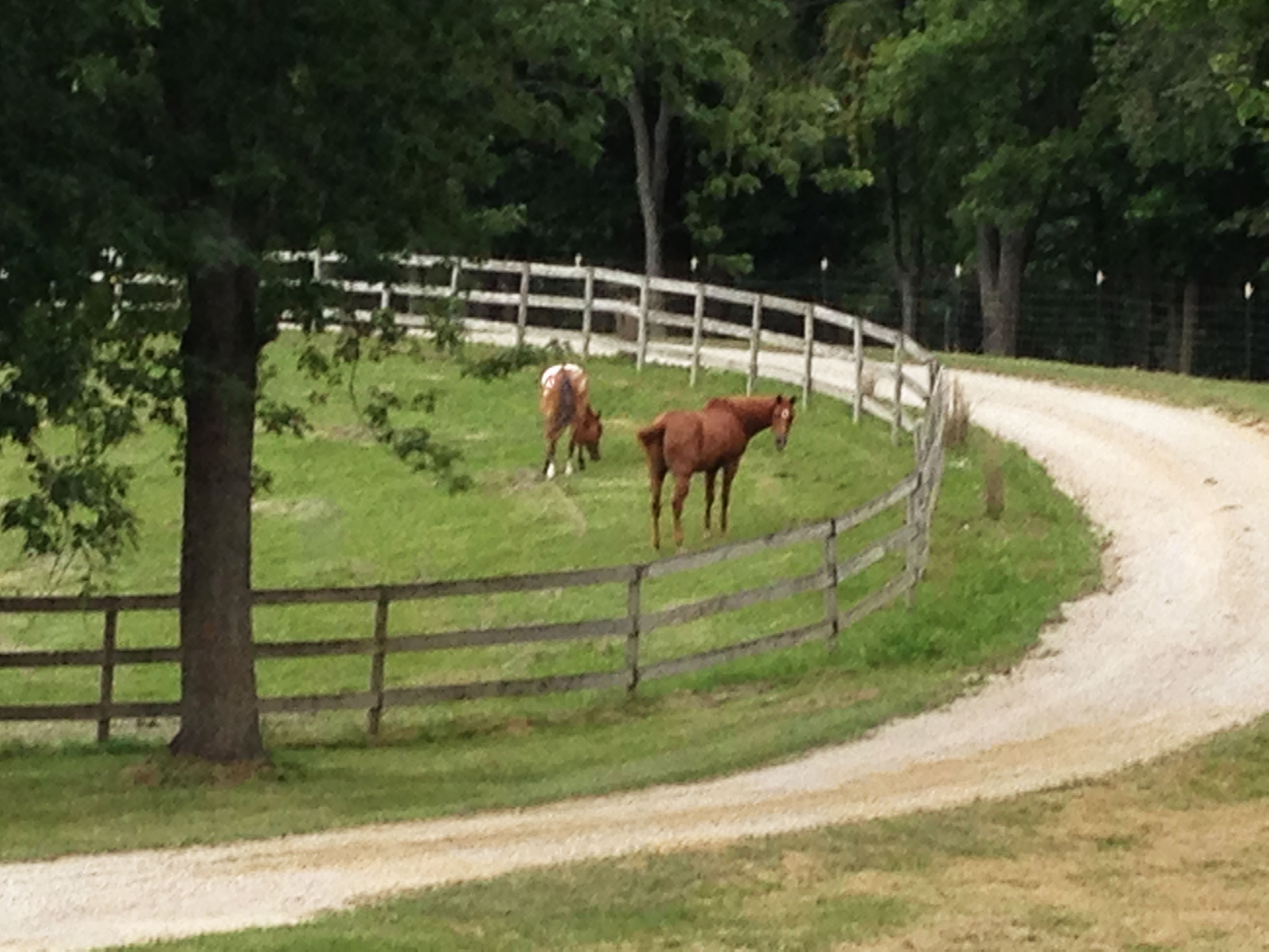 Keep your horses and your livestock safe.