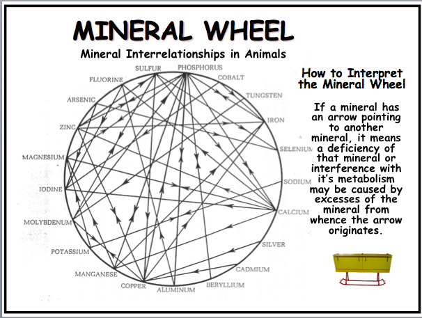 Mineral Wheel